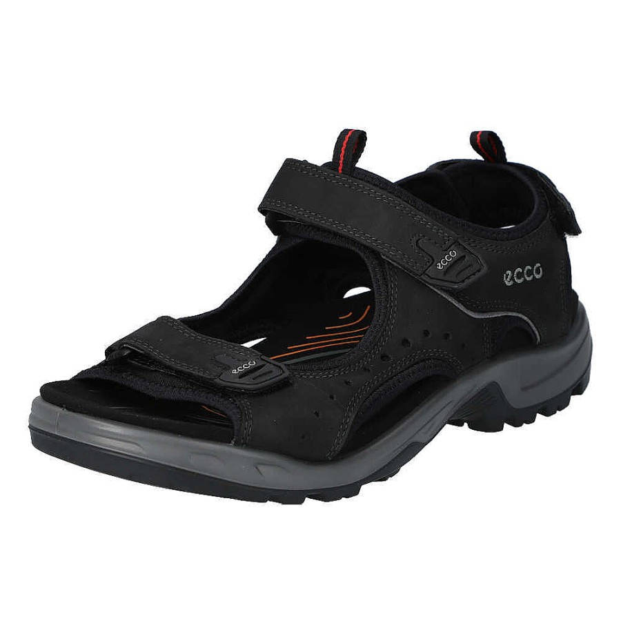 Herren Ecco Sandalen | Offroad Andes Ii M