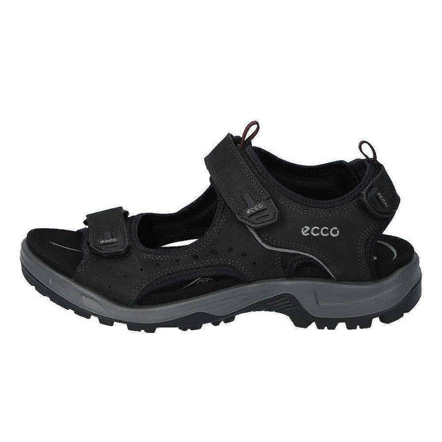 Herren Ecco Sandalen | Offroad Andes Ii M