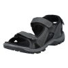 Herren Ecco Sandalen | Ecco Offroad