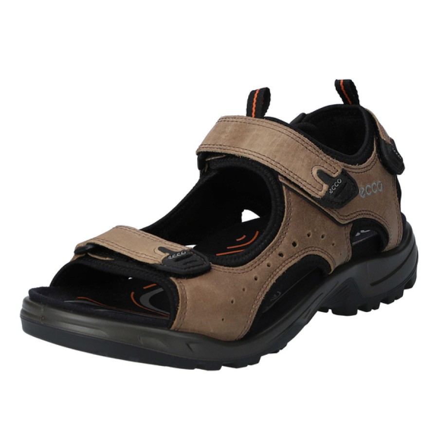 Herren Ecco Sandalen | Offroad Andes Ii M