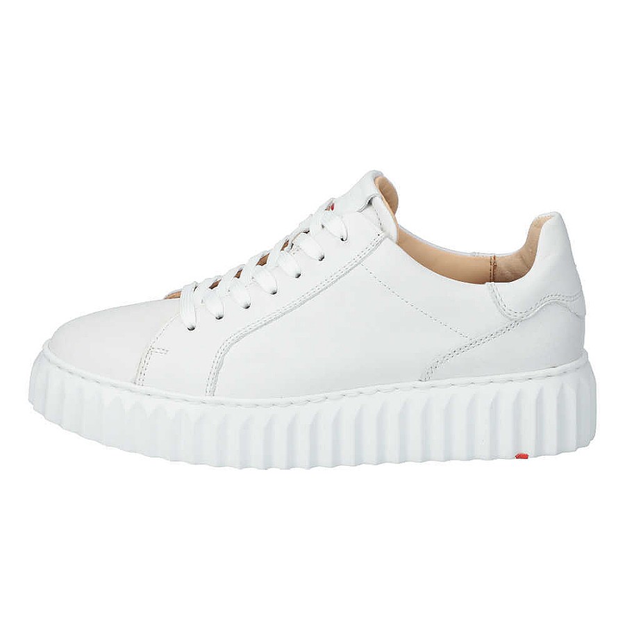 Damen Lloyd Sneakers | Kali